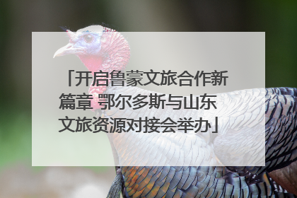 开启鲁蒙文旅合作新篇章 鄂尔多斯与山东文旅资源对接会举办