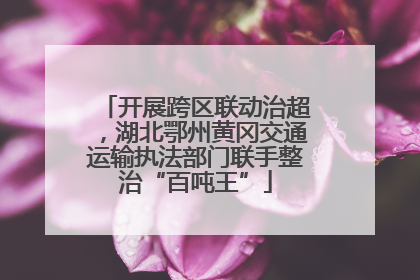 开展跨区联动治超，湖北鄂州黄冈交通运输执法部门联手整治“百吨王”