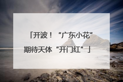 开波！“广东小花”期待天体“开门红”