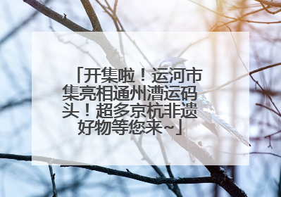 开集啦！运河市集亮相通州漕运码头！超多京杭非遗好物等您来~