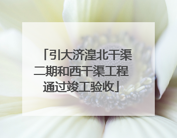 引大济湟北干渠二期和西干渠工程通过竣工验收