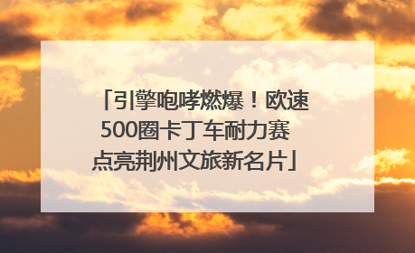 引擎咆哮燃爆！欧速500圈卡丁车耐力赛点亮荆州文旅新名片