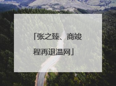 张之臻、商竣程再退温网