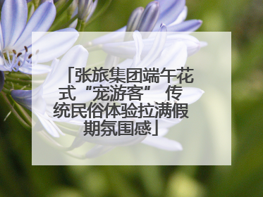 张旅集团端午花式“宠游客” 传统民俗体验拉满假期氛围感