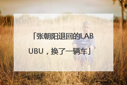 张朝阳退回的LABUBU，换了一辆车