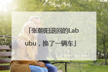 张朝阳退回的Labubu，换了一辆车
