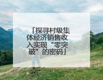 探寻村级集体经济销售收入实现“零突破”的密码