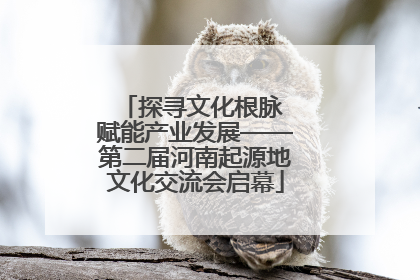 探寻文化根脉 赋能产业发展——第二届河南起源地文化交流会启幕