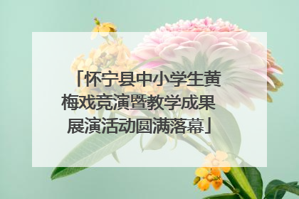 怀宁县中小学生黄梅戏竞演暨教学成果展演活动圆满落幕