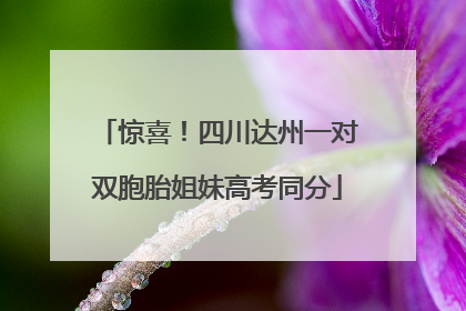 惊喜！四川达州一对双胞胎姐妹高考同分