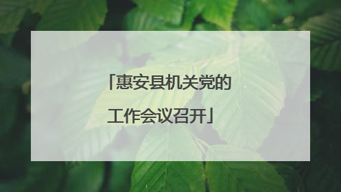 惠安县机关党的工作会议召开
