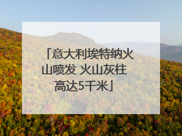 意大利埃特纳火山喷发 火山灰柱高达5千米