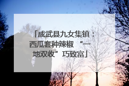 成武县九女集镇：西瓜套种辣椒 “一地双收”巧致富