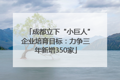 成都立下“小巨人”企业培育目标：力争三年新增350家