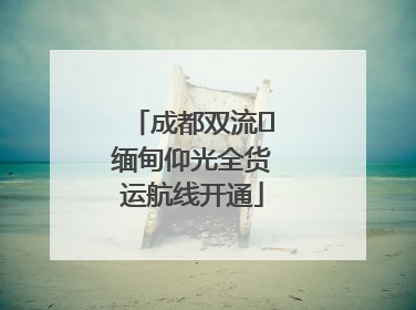 成都双流⇌缅甸仰光全货运航线开通