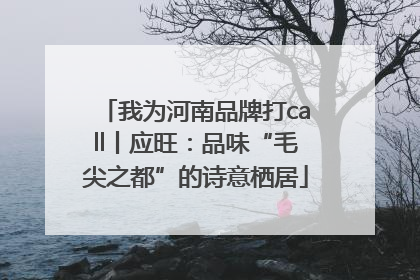 我为河南品牌打call丨应旺：品味“毛尖之都”的诗意栖居