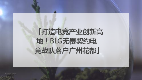 打造电竞产业创新高地！BLG无畏契约电竞战队落户广州花都