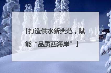 打造供水新典范，赋能“品质西海岸”