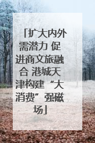 扩大内外需潜力 促进商文旅融合 港城天津构建“大消费”强磁场