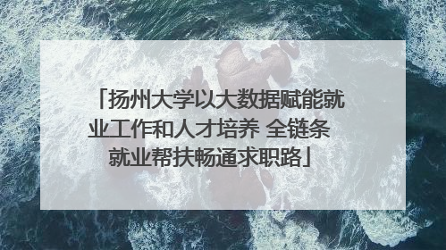 扬州大学以大数据赋能就业工作和人才培养 全链条就业帮扶畅通求职路