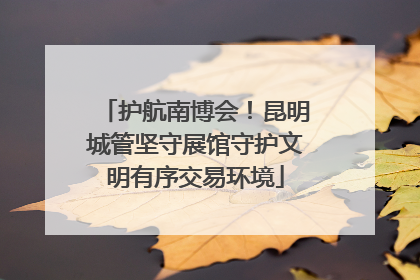 护航南博会！昆明城管坚守展馆守护文明有序交易环境