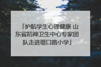 护航学生心理健康 山东省精神卫生中心专家团队走进堤口路小学
