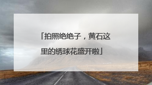 拍照绝绝子，黄石这里的绣球花盛开啦