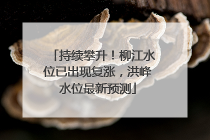 持续攀升！柳江水位已出现复涨，洪峰水位最新预测
