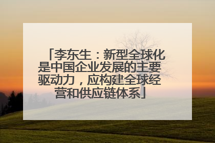 李东生：新型全球化是中国企业发展的主要驱动力，应构建全球经营和供应链体系