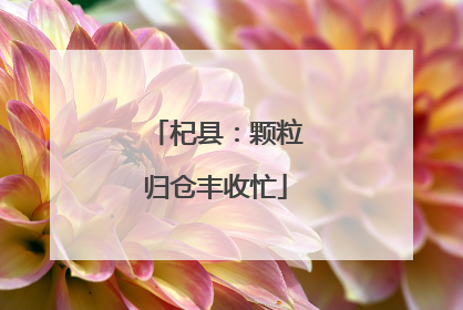 杞县：颗粒归仓丰收忙