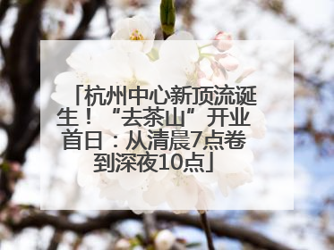 杭州中心新顶流诞生！“去茶山”开业首日：从清晨7点卷到深夜10点
