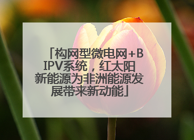 构网型微电网+BIPV系统，红太阳新能源为非洲能源发展带来新动能
