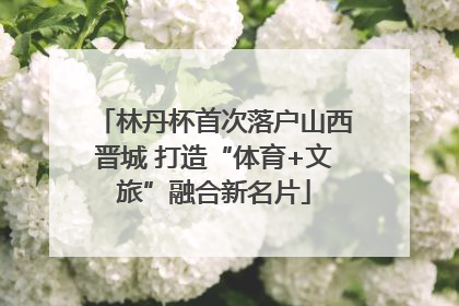 林丹杯首次落户山西晋城 打造“体育+文旅”融合新名片