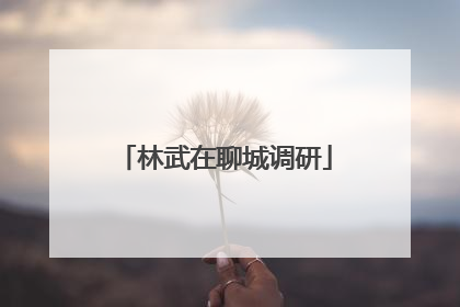 林武在聊城调研