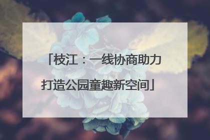 枝江：一线协商助力打造公园童趣新空间