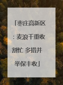 枣庄高新区：麦浪千重收割忙 多措并举保丰收