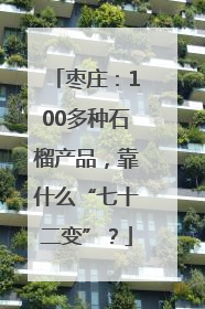 枣庄：100多种石榴产品，靠什么“七十二变”？