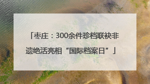 枣庄：300余件珍档联袂非遗绝活亮相“国际档案日”