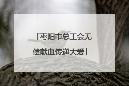 枣阳市总工会无偿献血传递大爱