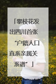 攀枝花发出四川首张“户籍人口直系亲属关系谱”