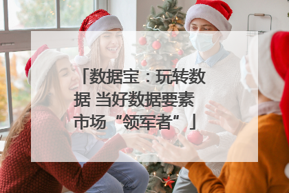 数据宝：玩转数据 当好数据要素市场“领军者”