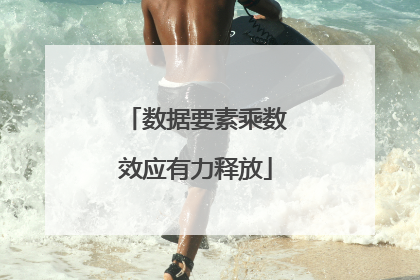 数据要素乘数效应有力释放