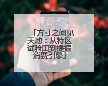 方寸之间见天地：从特区试验田到提振消费引擎