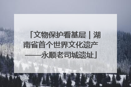 文物保护看基层｜湖南省首个世界文化遗产——永顺老司城遗址