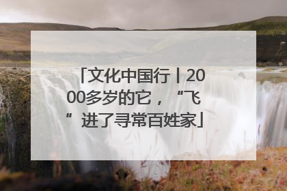 文化中国行丨2000多岁的它，“飞”进了寻常百姓家