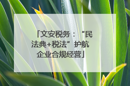 文安税务：“民法典+税法”护航企业合规经营