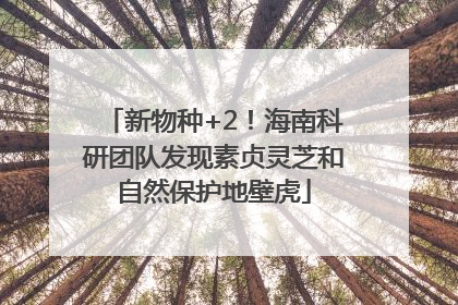新物种+2！海南科研团队发现素贞灵芝和自然保护地壁虎