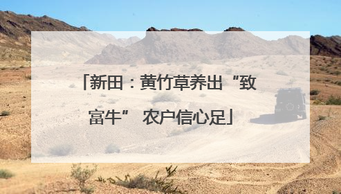 新田：黄竹草养出“致富牛” 农户信心足