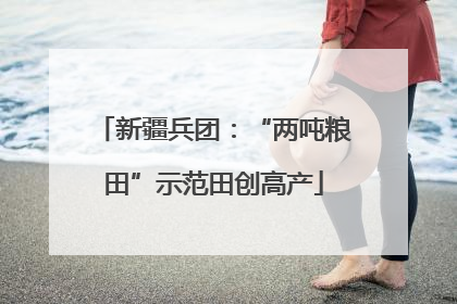 新疆兵团：“两吨粮田”示范田创高产