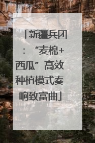 新疆兵团：“麦棉+西瓜”高效种植模式奏响致富曲